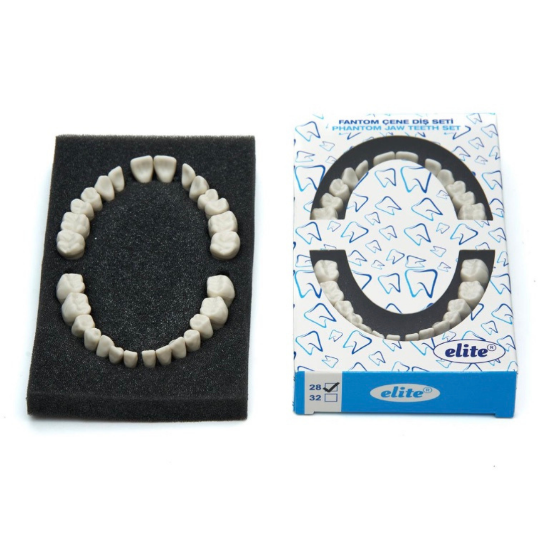 Elite Yedek Diş Seti 28'li