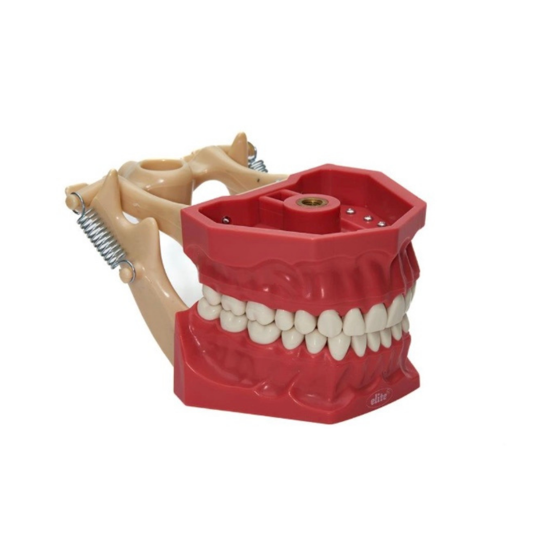 Elite Fantom Çene Sert Dişli